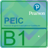 Icon Web PTE B1